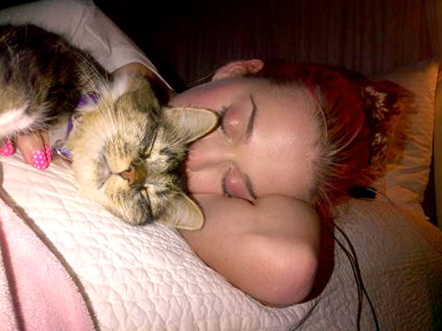 Кэти Перри и Китти Пурри