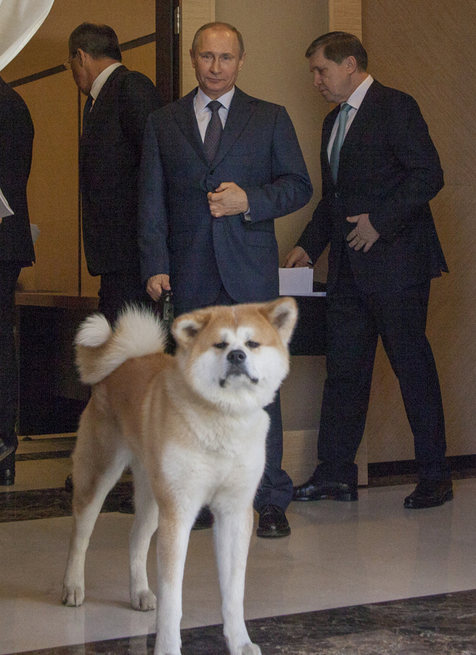 Путин и первые собаки страны