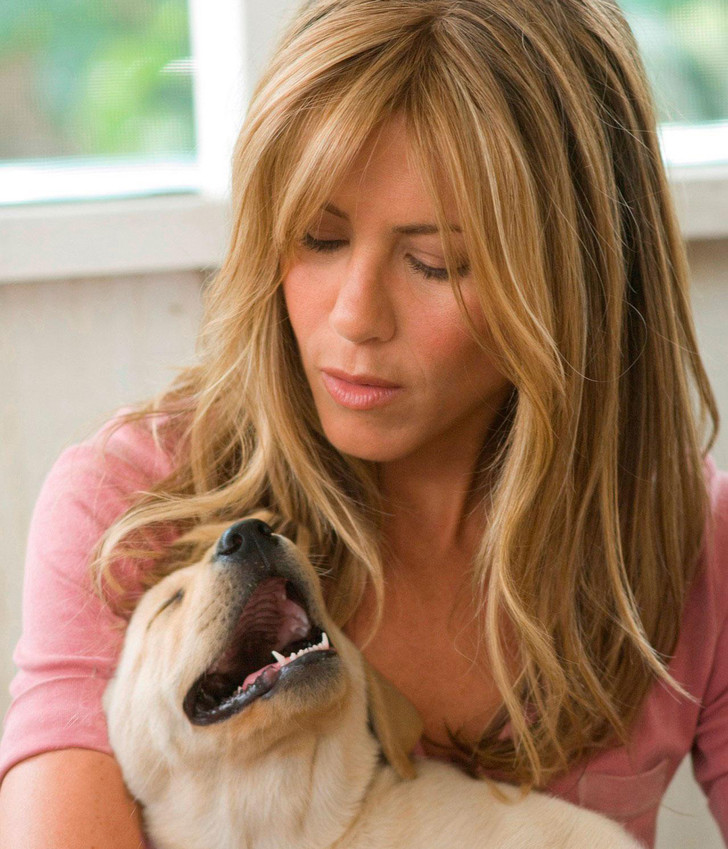 Кадр из фильма «Марли и я»