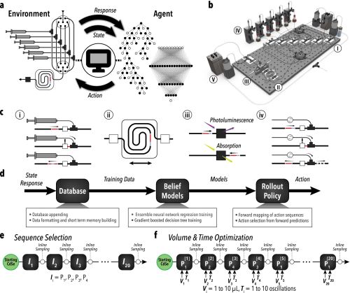 Работа системы AlphaFlow