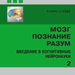 Полная карта мозга мушки-дрозофилы имеет множество общих черт с нейронными сетями, используемыми в ИИ-технологиях
Информация