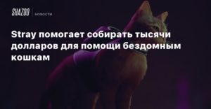 Stray
Stray помогает собирать тысячи долларов для помощи бездомным кошкам