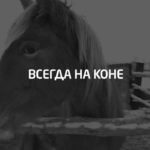 Всегда на коне