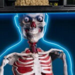 Российская игра про зомби и карантинную зону стала внезапным хитом в Steam и на Twitch