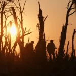 Авторы «2000 метров к Андреевке» получили награды WGA и ASC