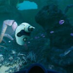 Krafton пропала из издателей Subnautica 2 в Steam без каких-либо объяснений