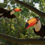 Planet Zoo 2 получила дату релиза и добавит птиц с морскими обитателями