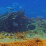 Разработчик Subnautica 2 назвал “идиотом” пирата, который обратился в техподдержку, и предложил ему “пересмотреть жизненные приоритеты”