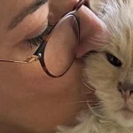 Кошка Карла Лагерфельда, на которую модельер переписал свое наследие, до сих пор не получила ни копейки