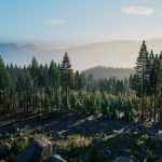Prologue: Go Wayback! от создателя PUBG стала бесплатной – все покупатели могут вернуть деньги вне зависимости от наигранных часов